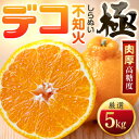 【ふるさと納税】【太陽をたっぷり浴びた】デコ(不知火)【極】5kg【C49-46】_ みかん ミカン 柑橘 不知火 しらぬい デコ 果物 くだもの フルーツ 甘...