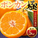 【ふるさと納税】【太陽をたっぷり浴びた】ポンカン【極】5kg【C49-55】【1509752】