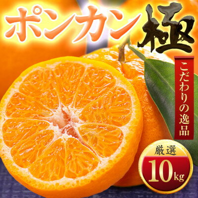 【ふるさと納税】【太陽をたっぷり浴びた】ポンカン【極】10kg【F49-56】【1509753】 【ふるさと納税】【太陽をたっぷり浴びた】ポンカン【極】10kg【F49-56】【1509753】
