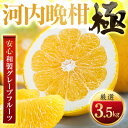 【ふるさと納税】【太陽をたっぷり浴びた】河内晩柑【極】3.5kg~【G1509764】