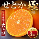 【ふるさと納税】「夕やけブランド」柑橘の大トロ!【せとか】3kg【C49-67】_ みかん ミカン 柑橘 果物 くだもの フルーツ せとか 甘い 希少 愛媛 デ...