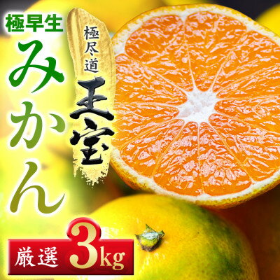 【ふるさと納税】【愛媛名産】極早生みかん 3kg【C64-18】【1510670】 【ふるさと納税】【愛媛名産】極早生みかん 3kg【C64-18】【1510670】
