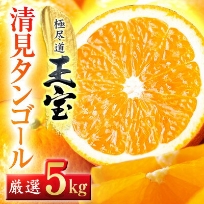 【ふるさと納税】【愛媛名産】玉宝清見タンゴール 5kg【C64-35】【1510847】