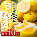 【ふるさと納税】【愛媛名産】玉宝ニューサマーオレンジ 10kg【F64-39】【1510857】
