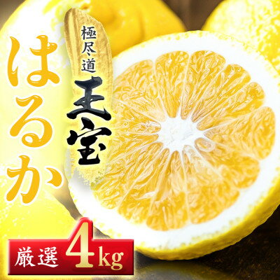 【ふるさと納税】【愛媛名産】玉宝はるか 4kg【C64-55】【1511256】