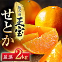 【ふるさと納税】「玉宝ブランド」【せとか】2kg【C64-46】_ みかん せとか 蜜柑 ミカン 愛媛 柑橘 かんきつ 愛媛みかん 果物 くだもの フルーツ 果...