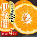 【ふるさと納税】【愛媛名産】玉宝伊予柑 4kg/5kg/10kg【G1511350】