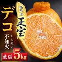 【ふるさと納税】【愛媛名産】玉宝デコ(不知火) 5kg【C64-50】【1511354】(4)