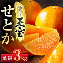 【ふるさと納税】「玉宝ブランド」【せとか】3kg【C64-47】_ みかん せとか 蜜柑 ミカン 愛媛 柑橘 かんきつ 愛媛みかん 果物 くだもの フルーツ 果実 青果 デザート おいしい 3kg 1箱 産直 産地直送 愛媛県 国産 送料無料 【1511359】