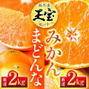 【ふるさと納税】「玉宝ブランド」【まどんな】 2kg + 【玉宝みかん】 2kgセット【E64-33】【1511367】