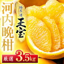 【ふるさと納税】【愛媛名産】玉宝河内晩柑 3.5kg/6kg/12kg【G1511374】