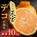 【ふるさと納税】【愛媛名産】玉宝デコ(不知火) 10kg【F64-51】_ みかん 不知火 しらぬい 蜜柑 ミカン 愛媛 柑橘 かんきつ 愛媛みかん 果物 くだもの フルーツ 果実 青果 デザート おいしい 10kg 1箱 産直 産地直送 愛媛県 国産 送料無料 【1511377】