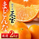 【ふるさと納税】「玉宝ブランド」【まどんな】2kg ※紅まどんなと同品種 【C64-40】_ みかん ミカン 柑橘 まどんな マドンナ フルーツ くだもの 果物...