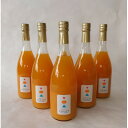 【ふるさと納税】真穴産みかんジュース「SUNSUN」6本セット【H18-12】【1512802】