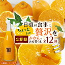 23位! 口コミ数「1件」評価「5」【発送月固定定期便】みかんのある暮らし全12回【H31-33】【配送不可地域：離島】【4000707】