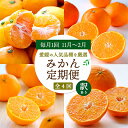 【ふるさと納税】【発送月固定定期便】愛媛の人気品種!かんきつ定期便 11月~2月(訳あり)全4回【H25-155】【4012889】