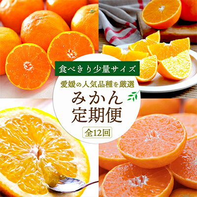 【ふるさと納税】【発送月固定定期便】食べ切り少量サイズ 愛媛の人気品種!柑橘定期便(秀品)全12回【H25-156】【配送不可地域：離島】【4012890】