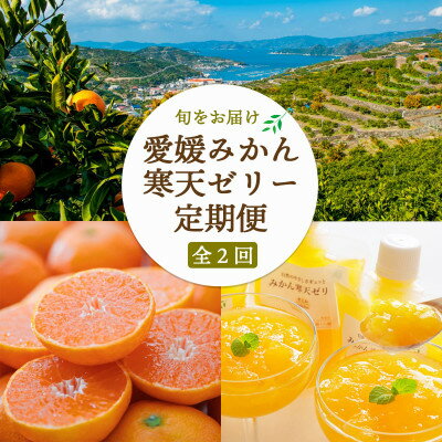 【ふるさと納税】【発送月固定定期便】愛媛みかん&みかん寒天ゼリー ミヤモトオレンジガーデン【E25-159】全2回【4050050】