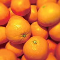【ふるさと納税】三代目みかん職人がつくる【頂みかん】5kg【1042516】
