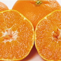 【ふるさと納税】三代目みかん職人がつくる【頂みかん】5kg【1042516】