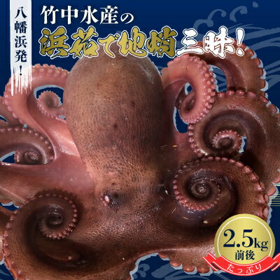 八幡浜発! 竹中水産のたっぷり「浜茹で地蛸」三昧! たっぷり 2.5kg 前後 【H22-190】_ たこ タコ 蛸 海鮮 魚介 刺身 八幡浜 送料無料 【配送不可地域：離島】【1043153】