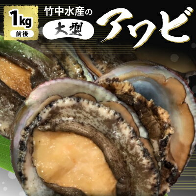 嗜好の大型アワビ 1kg 前後 刺身 竹中水産 鮑 アワビ あわび ギフト プレゼント 贈り物 送料無料 【H22-227】【配送不可地域：離島・北海道・沖縄県】【1060851】