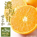 【ふるさと納税】愛媛の高級柑橘の代名詞!「せとか」約3kg入(化粧箱入)【D28-8】_ みかん 蜜柑 ミカン かんきつ 国産 高級 フルーツ 果物 くだもの 送料無料 箱 愛媛みかん せとかみかん 【配送不可地域:離島】【1046131】