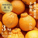 【ふるさと納税】\糖度14.0以上 酸1.4以下/糖酸選別品 不知火 (しらぬひ) 3kg【C20-15】_ デコポン と同品種 しらぬい みかん 不知火 オレ...