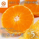 【ふるさと納税】JAにしうわの季節の柑橘(紅まどんな 約2.5kg×2箱)【H08-50】_ 紅マドンナ 紅まどんな みかん ミカン 常温 国産 フルーツ 果物 くだもの 人気 柑橘 かんきつ 愛媛 旬 産地直送 産直 季節限定 甘い 限定 ジューシー 【1443404】