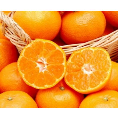 【ふるさと納税】愛媛県八幡浜産 愛媛みかん10kg(早生)【F35-9】【配送不可地域：離島・北海道・沖縄県】【1492245】のサムネイル