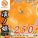 【ふるさと納税】特選みかん「濱ノ姫」計250kg(約2.5kg×100箱)【H08-80】【1510457】