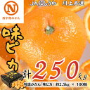 【ふるさと納税】特選みかん「味ピカ」計250kg(約2.5kg×100箱)【H08-84】【1510472】