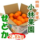 【ふるさと納税】愛媛・小林果園のせとか 約2.8kg【C24-31】_ みかん ミカン 柑橘 せとか フルーツ くだもの 果物 ふるーつ 青果 果実 甘い ジュ...