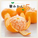 【ふるさと納税】(熨斗付き)コウ果樹園の華みかん5kg【C33-46】【1525643】(4)