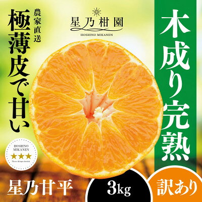 【ふるさと納税】【訳あり】星乃みかん園の甘平(3kg)【C45-88】【1535971】