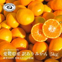 【ふるさと納税】【創業108年】愛媛みかんの老舗【訳あり みかん5kg...(4)