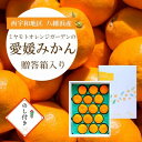 【ふるさと納税】【2025年11月より順次発送】八幡浜産 愛媛みかん【贈答用】15個入り のし付き【C25-167】【1536565】(4)