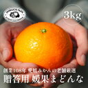 【ふるさと納税】【創業108年】愛媛みかんの老舗厳選【贈答用】媛果まどんな3kg【E70-44】【1537310】