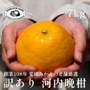 【ふるさと納税】愛媛みかんの老舗【河内晩柑 訳あり 7kg】新口農園【C70-45】【1537315】