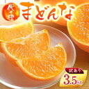 【ふるさと納税】【紅まどんなと同品種】【訳あり】代々橙まどんな3.5kg【C83-3】【1539776】