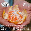 【ふるさと納税】【創業108年】愛媛みかんの老舗【訳あり みかん8kg...(4)