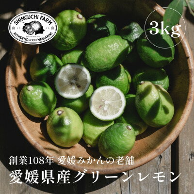 【ふるさと納税】【防腐剤・ワックス不使用】愛媛県産グリーンレモン 3kg【C70-47】【1550650】 【ふるさと納税】【防腐剤・ワックス不使用】愛媛県産グリーンレモン 3kg【C70-47】【1550650】