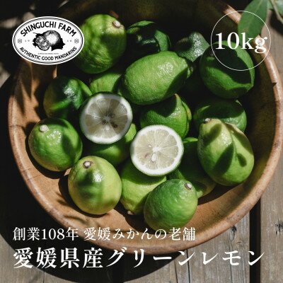【ふるさと納税】【防腐剤・ワックス不使用】愛媛県産グリーンレモン 10kg【H70-49】【1550663】