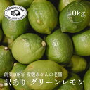 【ふるさと納税】【防腐剤・ワックス不使用】愛媛県産【訳あり】グリーンレモン 10kg【F70-54】【1550697】