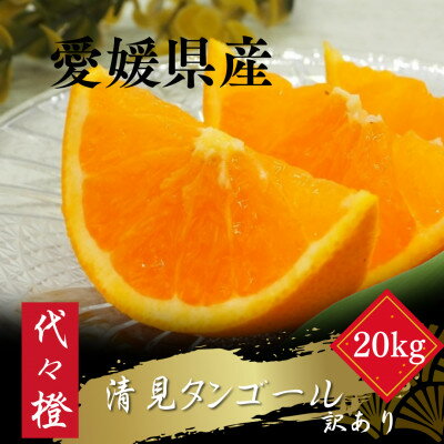 【ふるさと納税】【トロッととろける果実】【訳あり】清見タンゴール 20kg【H83-27】【1557491】