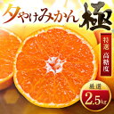 【ふるさと納税】【太陽をたっぷり浴びた】夕やけみかん【極】2.5kg【A49-76】【1557599】