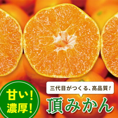 【ふるさと納税】三代目の【頂みかん】7.5kg【E31-48】【1573267】