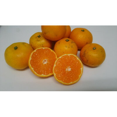 家庭用みかん4.5キロ[C78-3]