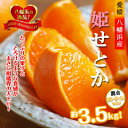 【ふるさと納税】2026年2月発送開始 みずみずしい香り・柑橘の大トロ!「姫せとか」約3.5kg【D39-60】【配送不可地域:離島】【1583778】