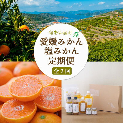 【ふるさと納税】【発送月固定定期便】愛媛みかん&新しい調味料 塩みかんセット【F25-162】全2回【4050220】 【ふるさと納税】【発送月固定定期便】愛媛みかん&新しい調味料 塩みかんセット【F25-162】全2回【4050220】